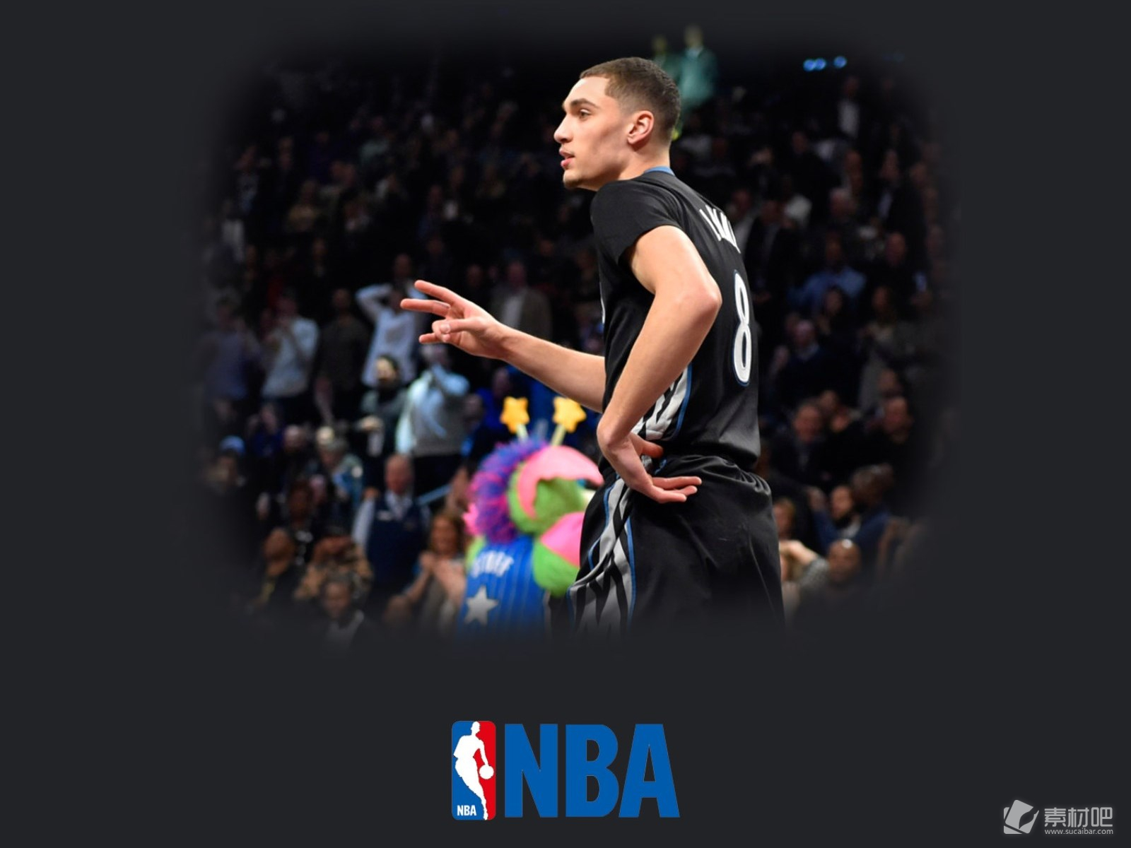 戴银牵牛 戴银牵牛