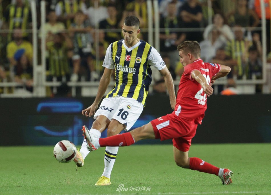 集中展现 集中展现